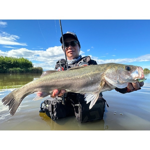 マービー　７０